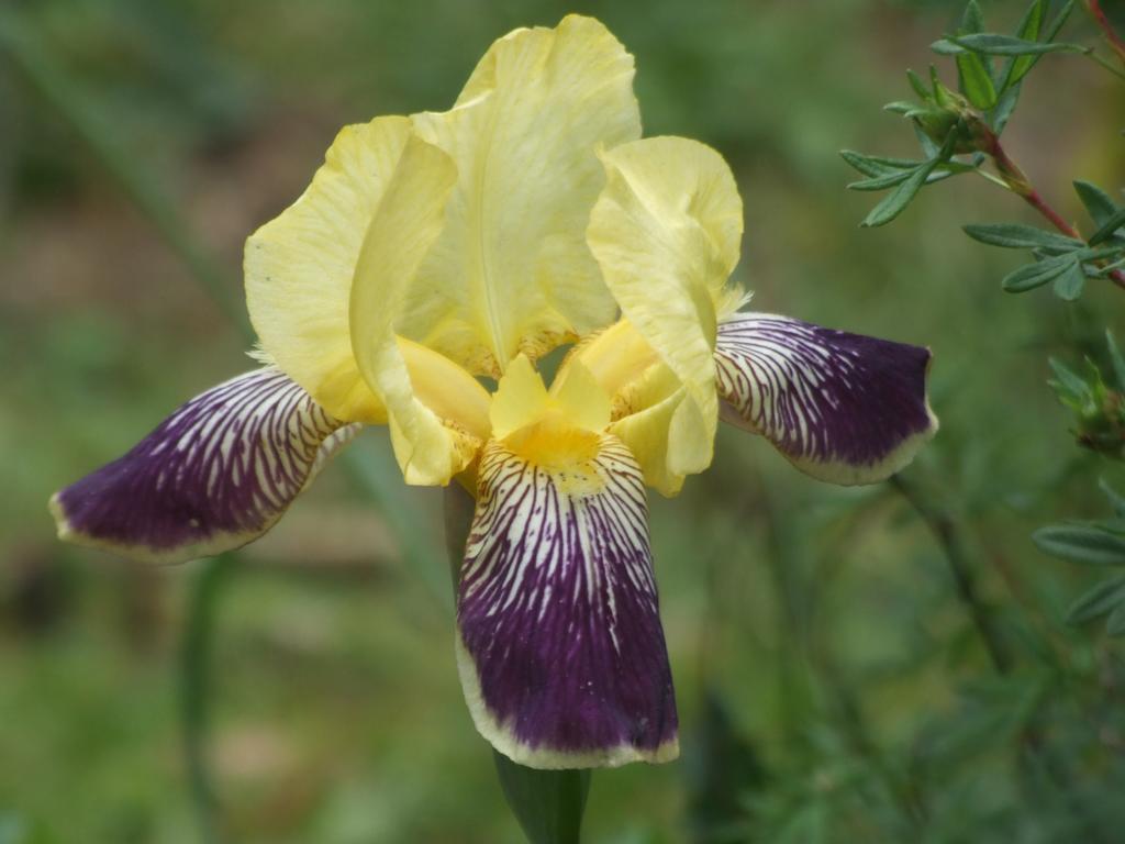 Gite Labradors De Bailly - Giverny Сен-Пьер-ла-Гаренн Экстерьер фото