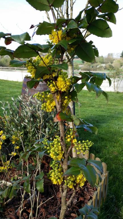 Gite Labradors De Bailly - Giverny Сен-Пьер-ла-Гаренн Экстерьер фото